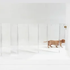Hiddin acrylic dog gate as pet door & wall mounted