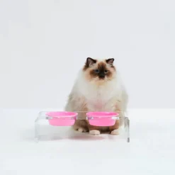 Hiddin Acrylic Elevated Pet Feeder