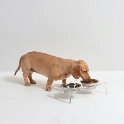 Hiddin Small Pet Feeder with Stainless Steel Bowls & Raised Acrylic Stand
