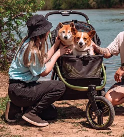 Ibiyaya dog stroller the beast jogger