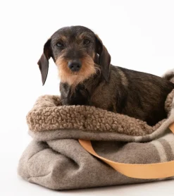 Inge Recycled Wool Small Dog Purse For Winter