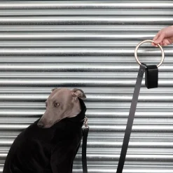 Leather Toto Dog Waste Bag Dispenser