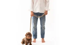 Mario Long Leather Dog Leash 6 Feet