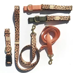 martingale collar / leopard + peach