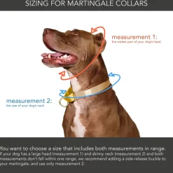 martingale collar / leopard + peach
