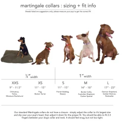 martingale training collar for pullers | peach + pink