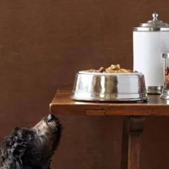 Match Pewter Italian Pet Bowl