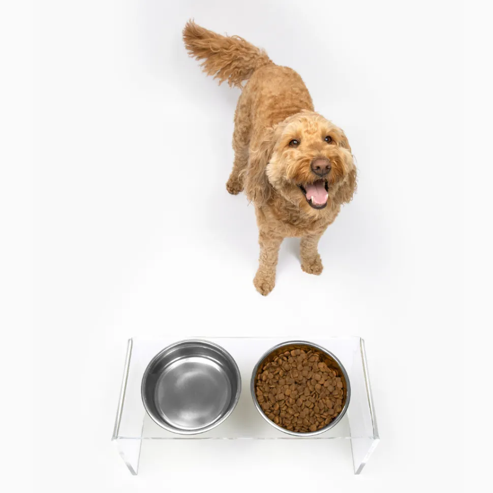 Medium Height Double Dog Bowl Feeder with Silver Stainless Steel Bowls & Acrylic Stand