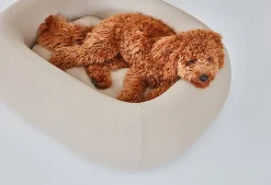 Miacara Barca Hypoallergenic Dog Bed