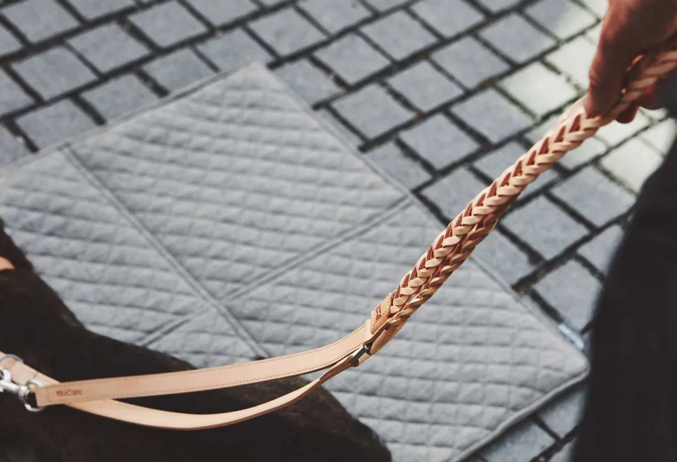 Miacara Bergamo braided Leather Long Dog Leash 6 Feet