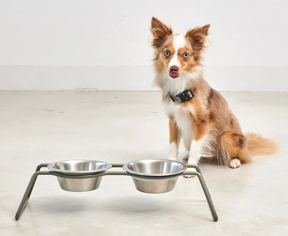 Miacara Cena Dog Feeder With High Quality Stainless Steel Bowls