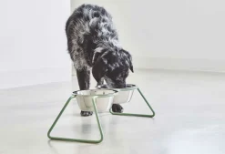 Miacara Cena Dog Feeder With High Quality Stainless Steel Bowls