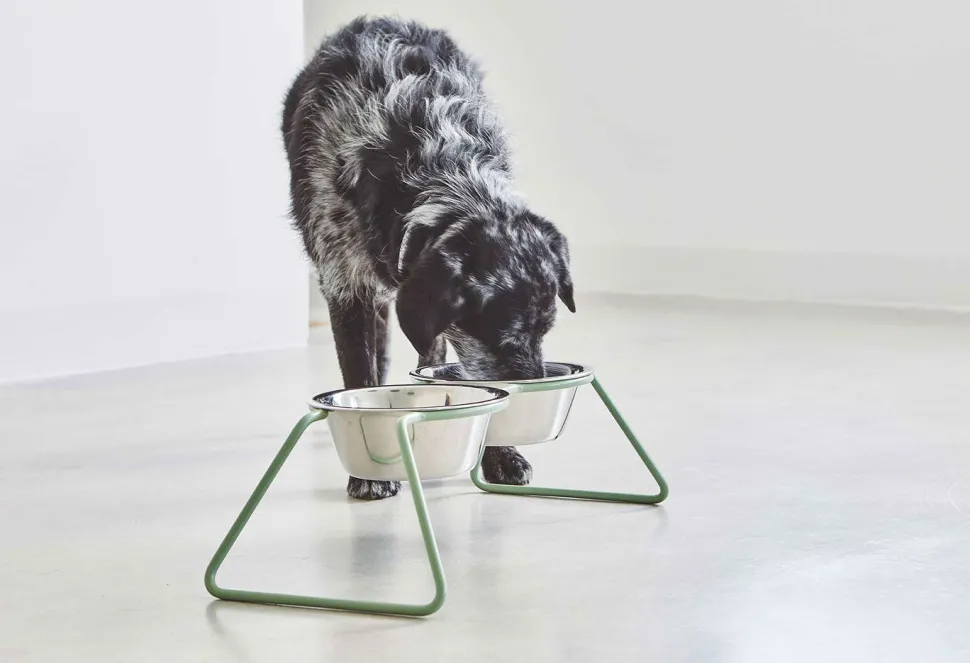 Miacara Cena Dog Feeder With High Quality Stainless Steel Bowls