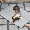 Miacara Cosmo Dog Mat & Travel Bed Foldable