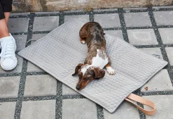 Miacara Cosmo Dog Mat & Travel Bed Foldable