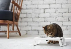 Miacara Desco Cat Feeder White