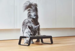 Miacara Desco Cat Feeder Walnut
