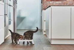 Miacara Desco Cat Feeder White