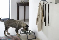 Miacara Desco Dog Feeder in Grey