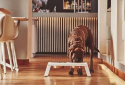 Miacara Desco Dog Feeder in White