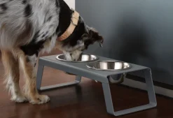 Miacara Desco Dog Feeder in Grey