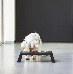 Miacara Desco Dog Feeder in Black