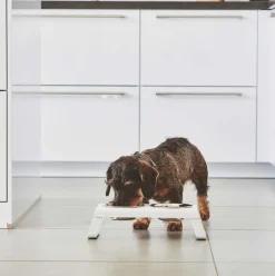 Miacara Desco Dog Feeder in White