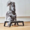 Miacara Desco Elevated Cat Feeder Black