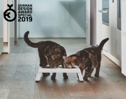 Miacara Desco Porcelain Cat Bowls With Elevated Wood Stand