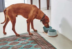 Miacara Doppio Dog Food & Water Bowls with Oak Tray