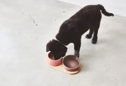 Miacara Doppio Dog Food & Water Bowls with Oak Tray
