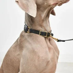 Miacara Leather Dog Collar & Leash Set
