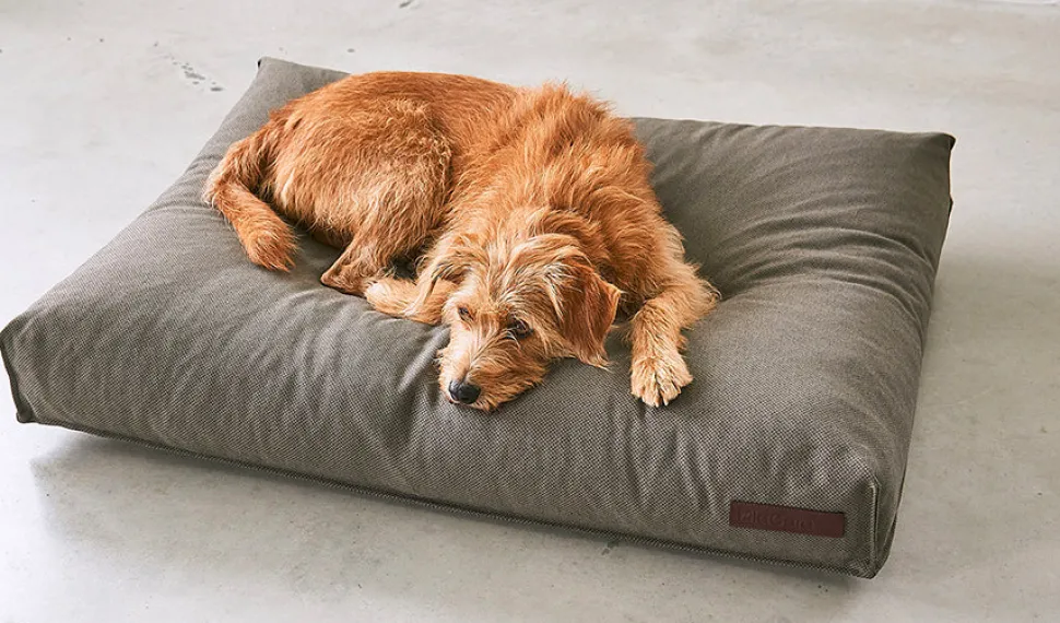 Miacara Mare Hypoallergenic Dog Cushion