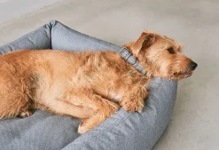 Miacara Mare Hypoallergenic Dog Bed