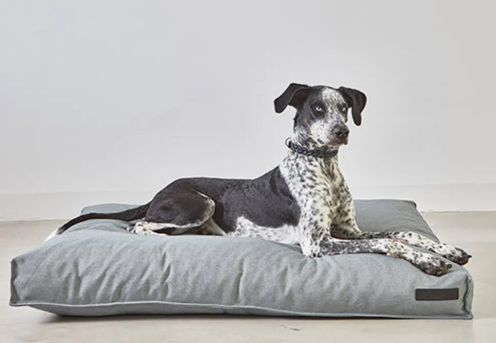 Miacara Mare Hypoallergenic Dog Cushion