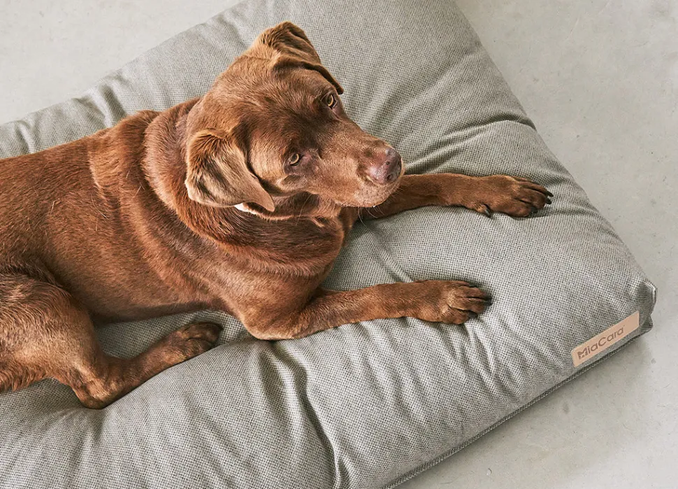 Miacara Mare Hypoallergenic Dog Cushion