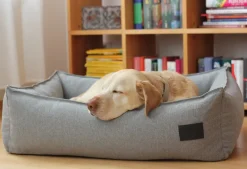 Miacara nube box dog bed with durable premium Italian fabric