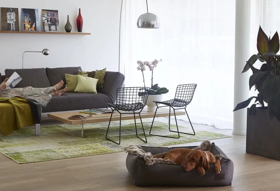 Miacara nube box dog bed with durable premium Italian fabric