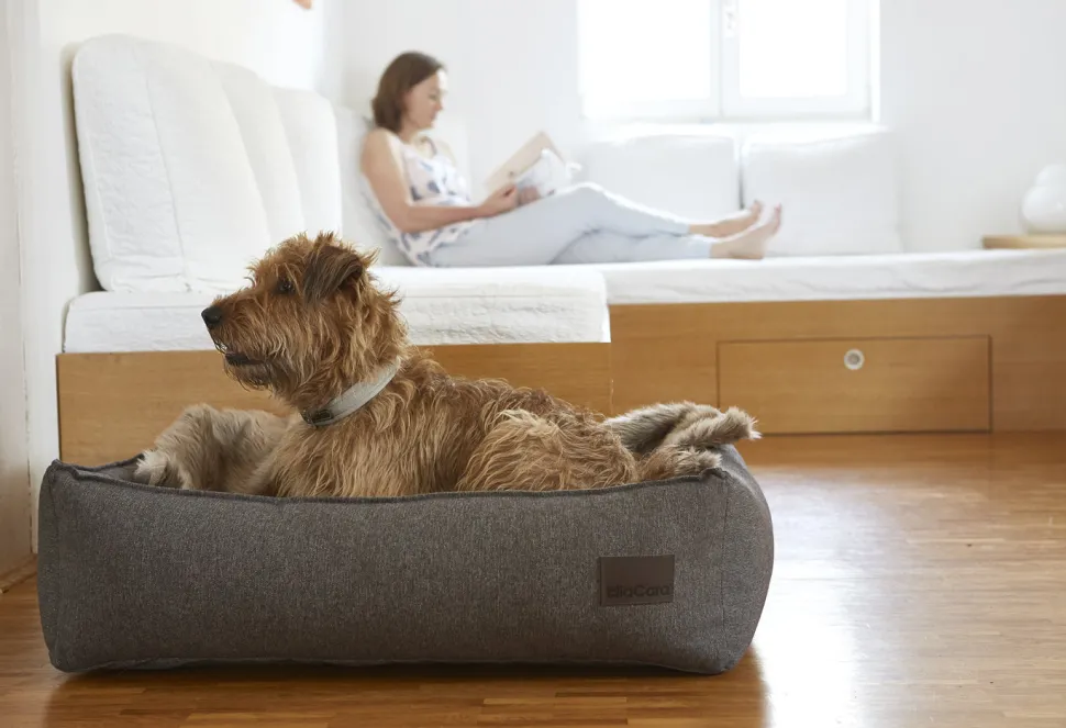 Miacara nube box dog bed with durable premium Italian fabric