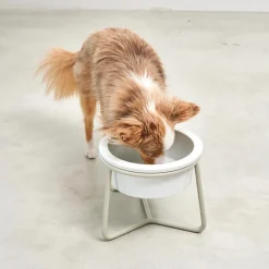 Miacara Pranzo Quality Elevated Porcelain Large Dog Bowl