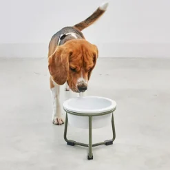 Miacara Pranzo Quality Elevated Porcelain Large Dog Bowl