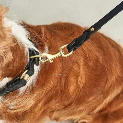 Miacara Siena Leather Dog Collar & Leash