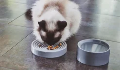Miacara slowfeeder Porcelain Cat Bowls with Whisker Relief