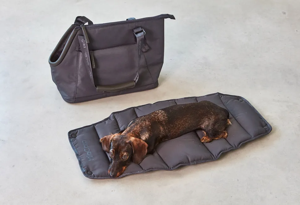 Miacara Sporta Dog Carrier - Asphalt