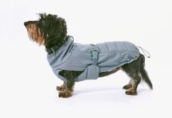Miacara Stefano Winter Dog Coat - Slate