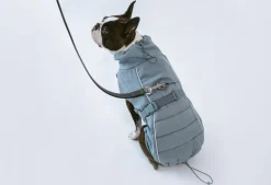 Miacara Stefano Winter Dog Coat - Slate