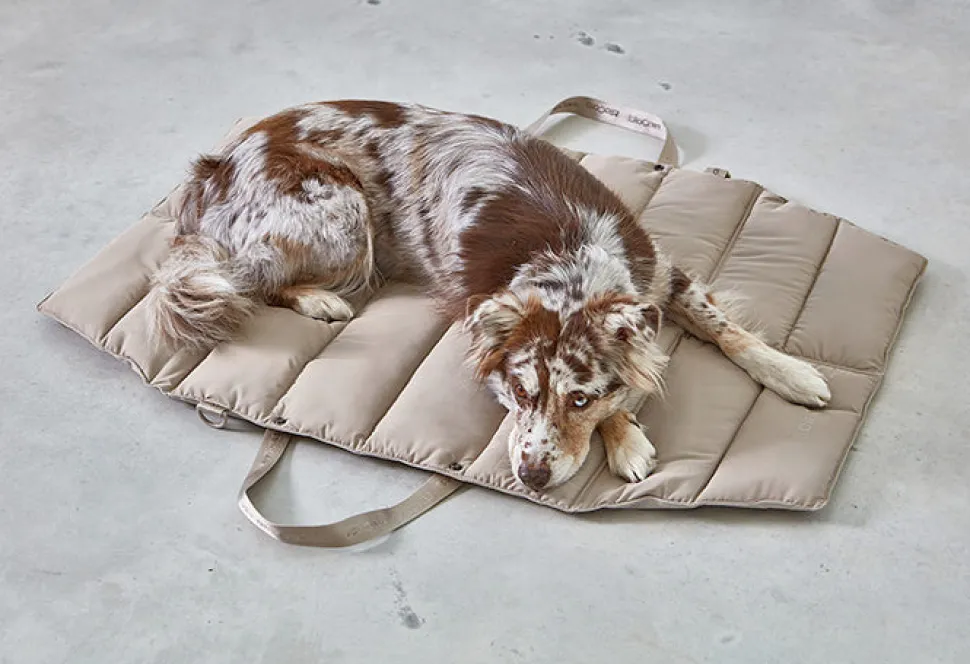 Miacara Strada Travel Bed for Dogs