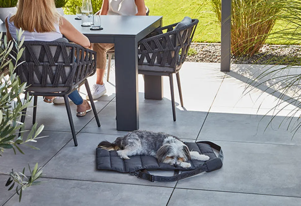 Miacara Strada Travel Bed for Dogs