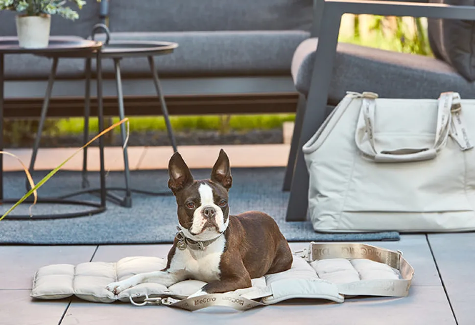 Miacara Strada Travel Bed for Dogs