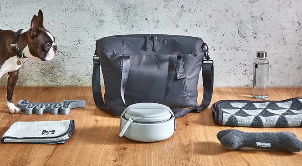 Miacara Vacanza Dog Travel Bag & Travel Bowl Set